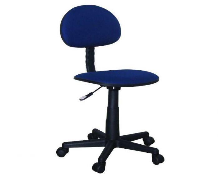 Computer Chair (Blue)